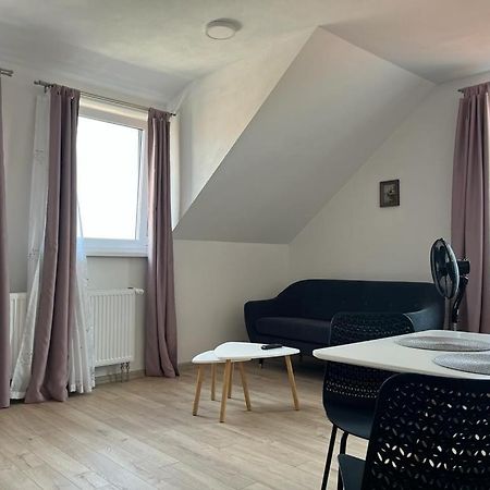 Sabina Apartaments Sfântu-Gheorghe Zewnętrze zdjęcie