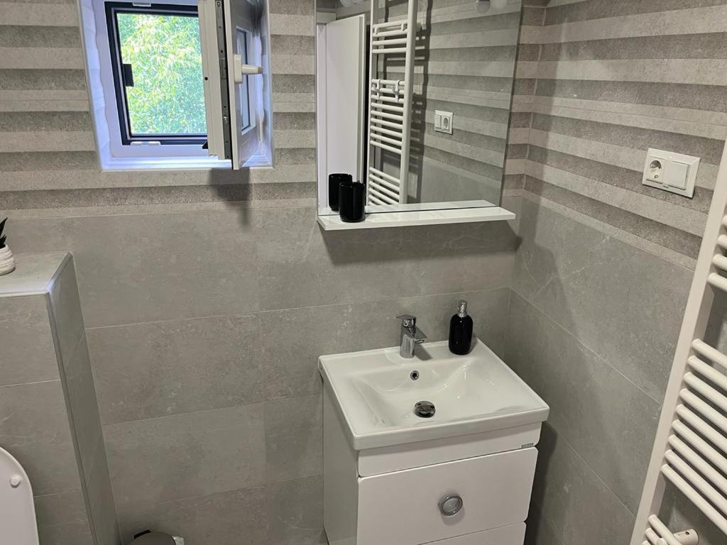 Sabina Apartaments Sfântu-Gheorghe Zewnętrze zdjęcie