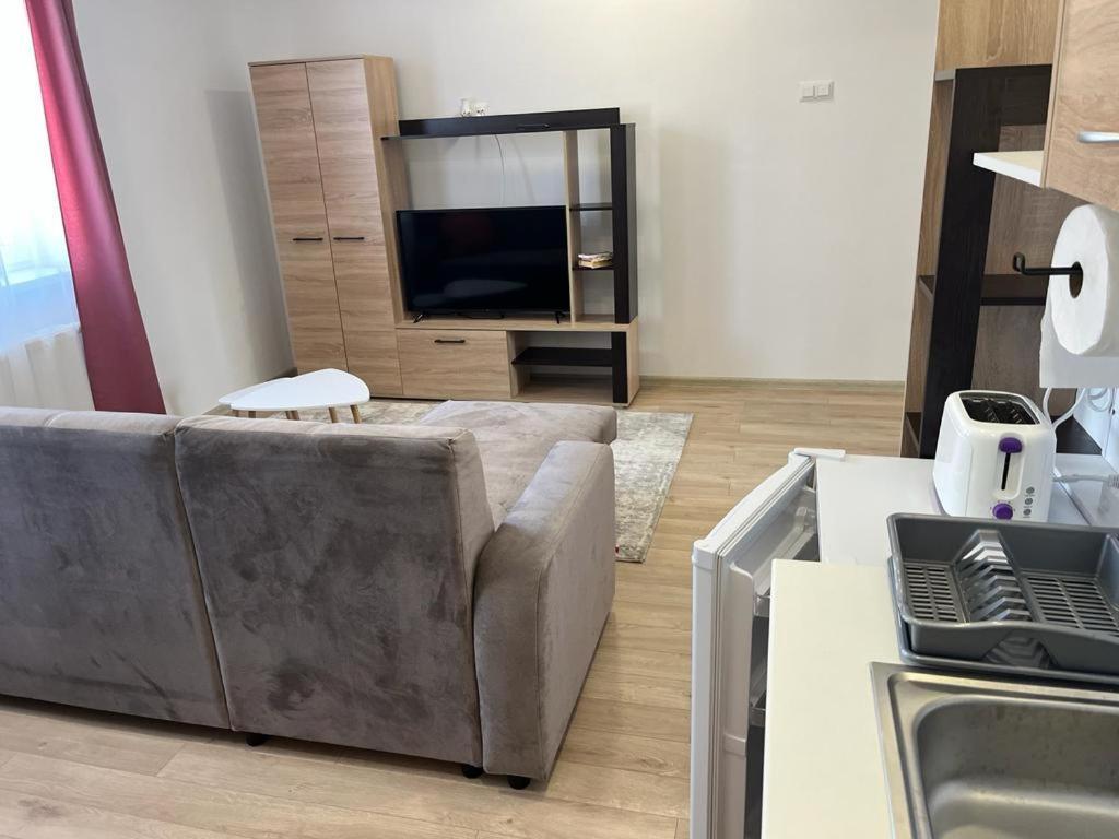 Sabina Apartaments Sfântu-Gheorghe Zewnętrze zdjęcie