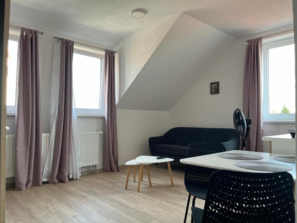 Sabina Apartaments Sfântu-Gheorghe Zewnętrze zdjęcie