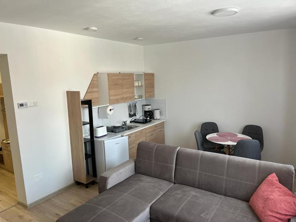 Sabina Apartaments Sfântu-Gheorghe Zewnętrze zdjęcie