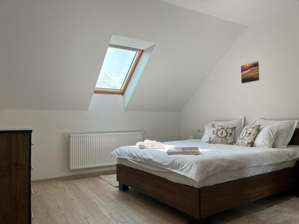 Sabina Apartaments Sfântu-Gheorghe Zewnętrze zdjęcie