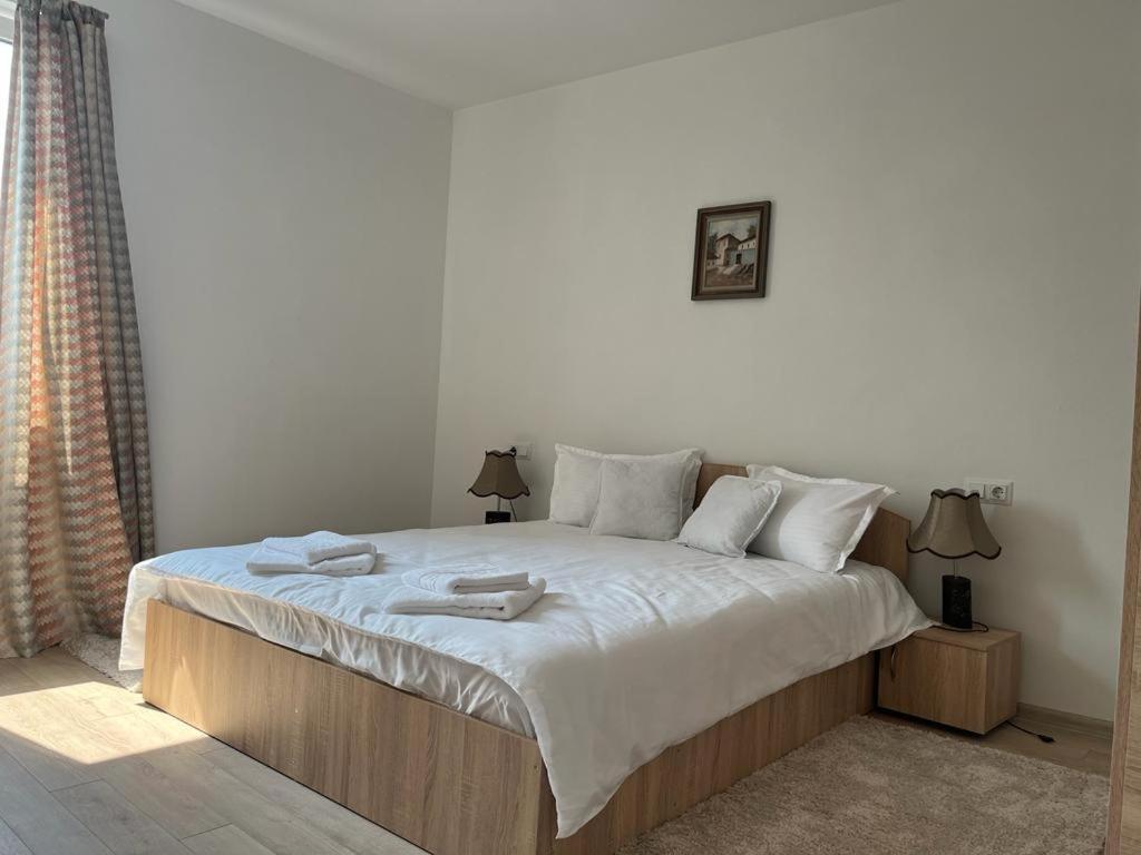 Sabina Apartaments Sfântu-Gheorghe Zewnętrze zdjęcie