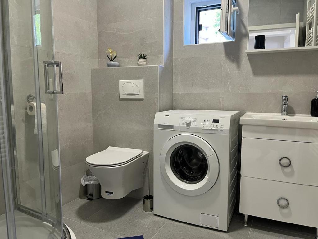 Sabina Apartaments Sfântu-Gheorghe Zewnętrze zdjęcie