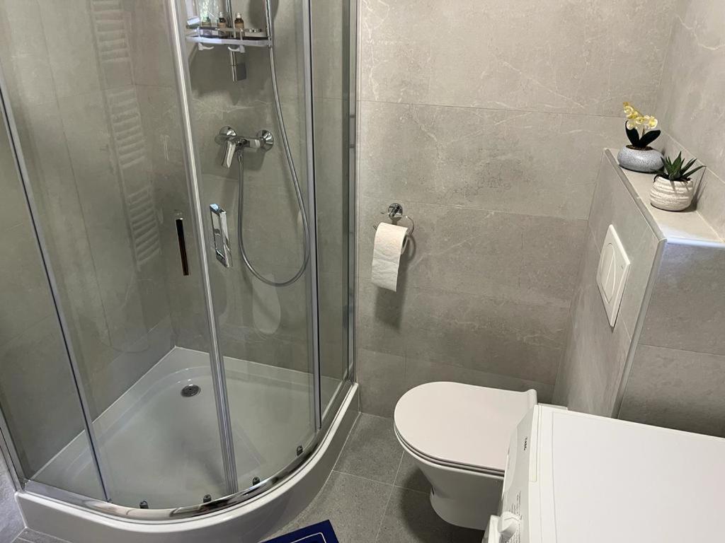 Sabina Apartaments Sfântu-Gheorghe Zewnętrze zdjęcie