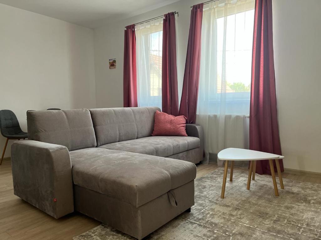 Sabina Apartaments Sfântu-Gheorghe Zewnętrze zdjęcie