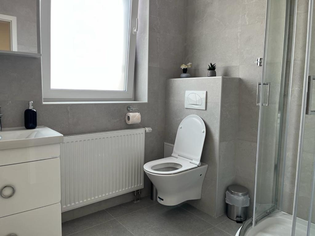 Sabina Apartaments Sfântu-Gheorghe Zewnętrze zdjęcie