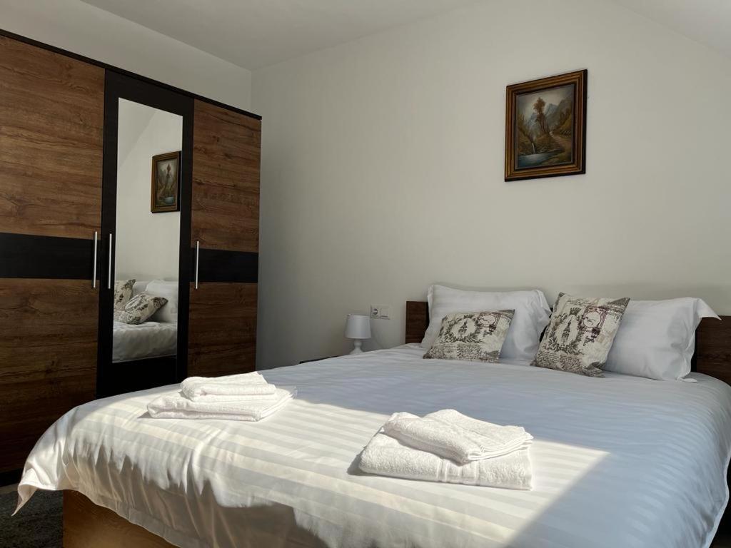 Sabina Apartaments Sfântu-Gheorghe Zewnętrze zdjęcie